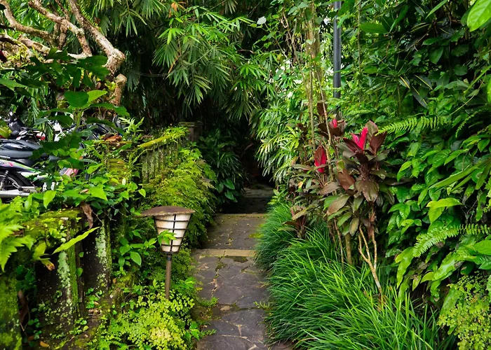 River Song Bali